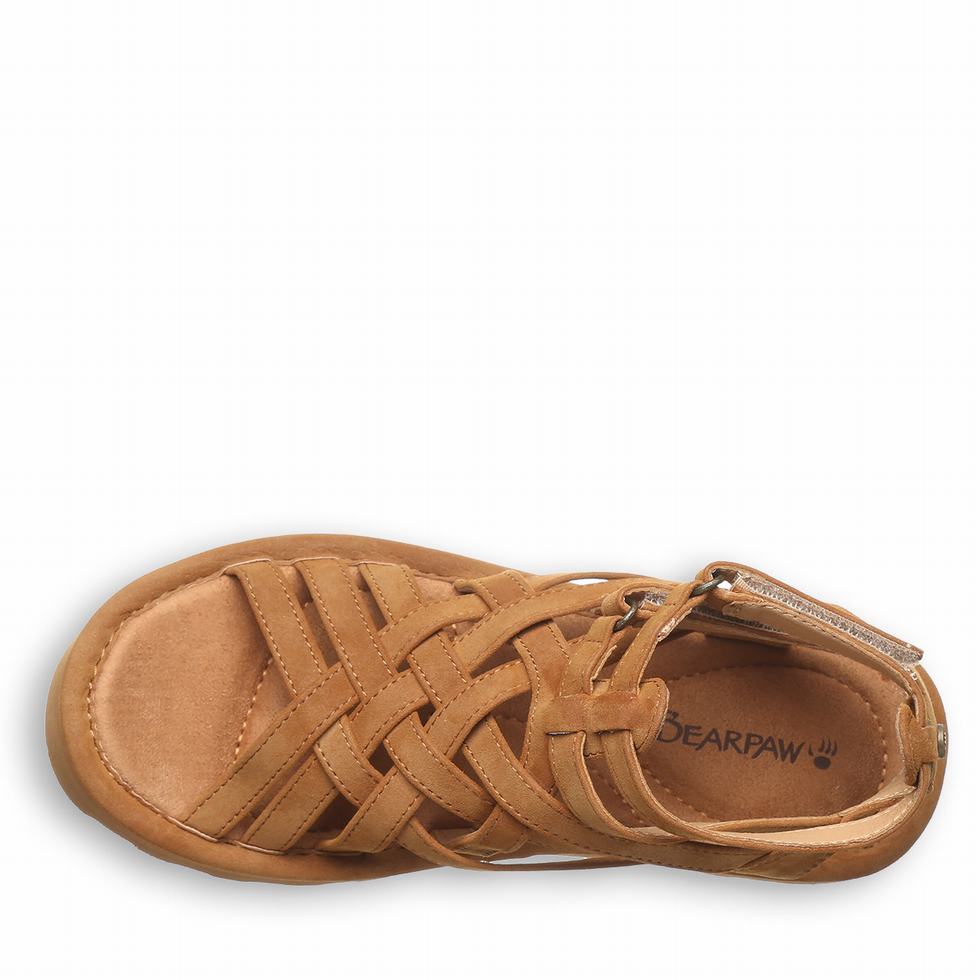 Bearpaw Prominence Donna Sandali Marroni | FKC8032DG