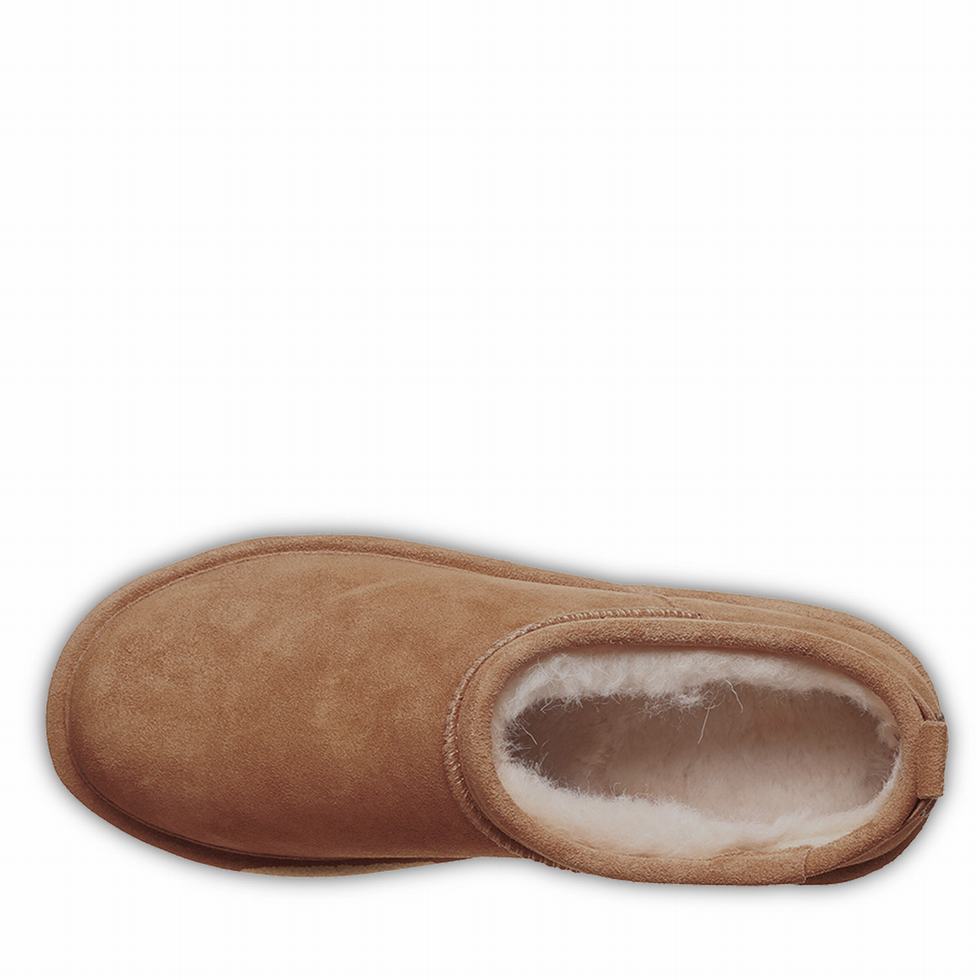 Bearpaw Retro Super Shorty Donna Stivali Platform Marroni | GJC4697ON