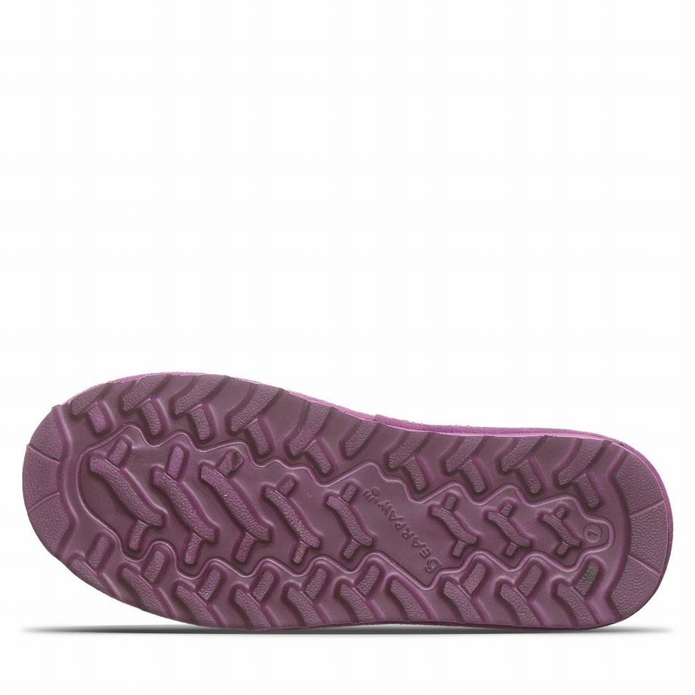 Bearpaw Super Shorty Donna Doposci Viola | XPZ799RK